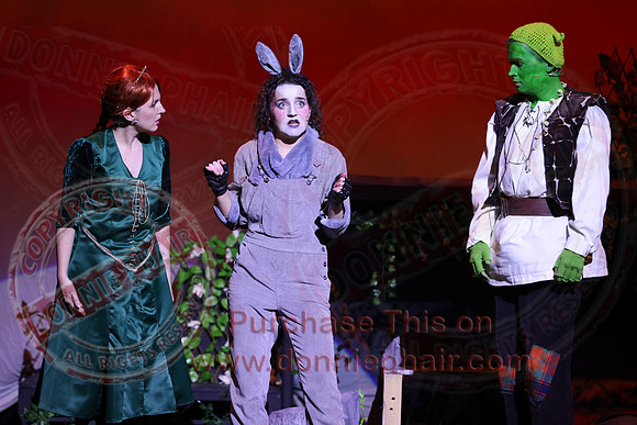 Shrek by FMT - Donnie Phair-487