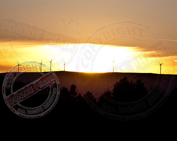 "Windmills in the Sunset"