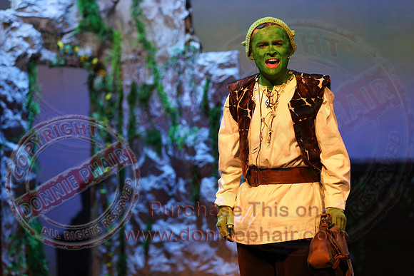 Shrek by FMT - Donnie Phair-525