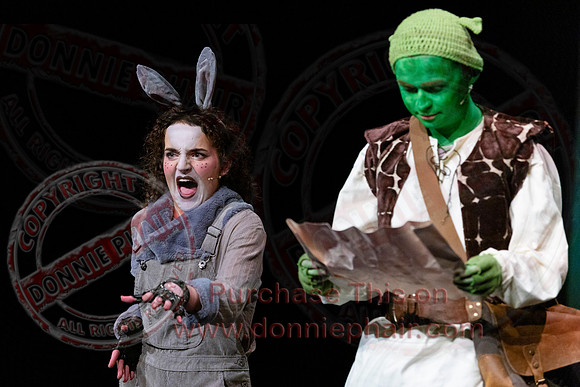 Shrek by FMT - Donnie Phair-104